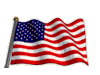 SUPPORT OUR BRAVE TROOPS!